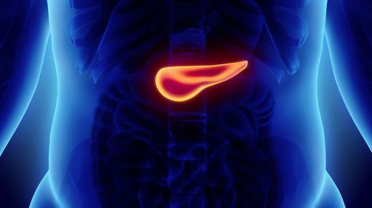 Cáncer de páncreas. Así se busca la cura
